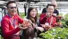 동남아시아 관광객, 통영 딸기농장 체험